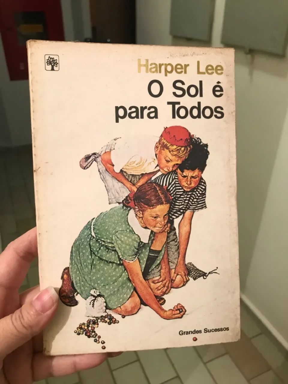 Livro O Sol é para Todos
