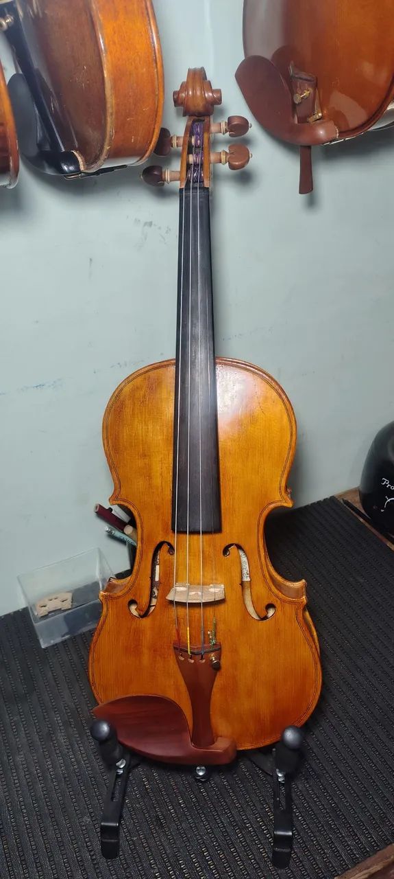 Violino 