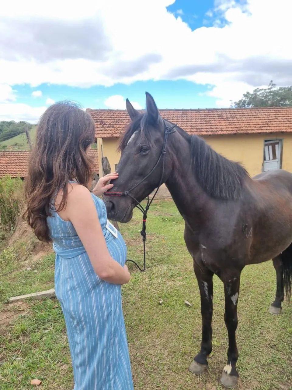 Égua mangalarga marchador a venda  - Foto 4