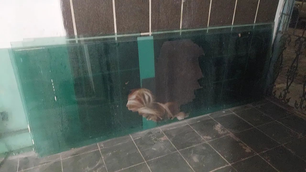 Vidro de acabamento - Foto 3