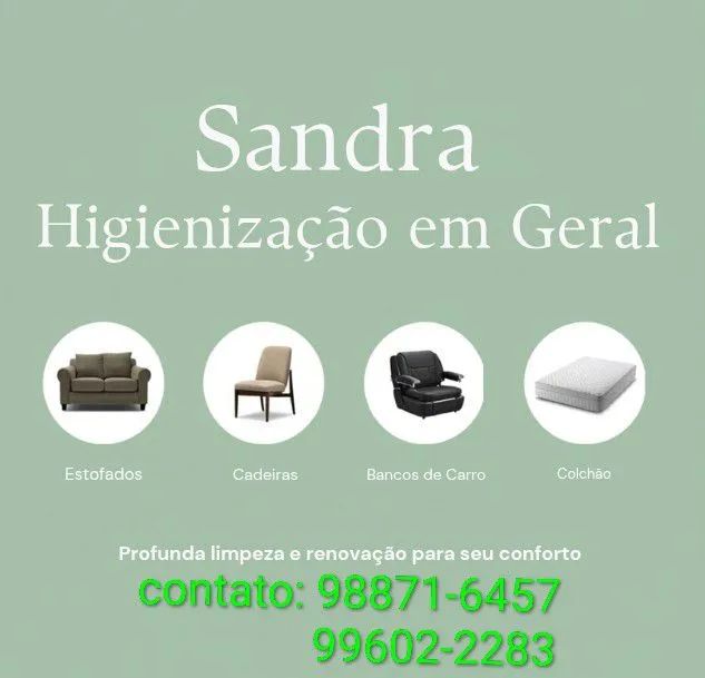 Higienização em geral 