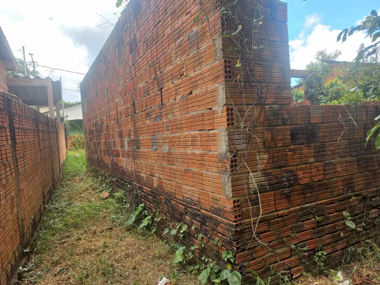 Terreno Ramal Herculano - Foto 5