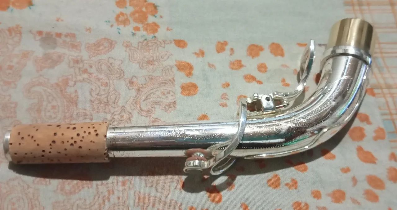 TUDEL DPOW SAX ALTO  - Foto 5