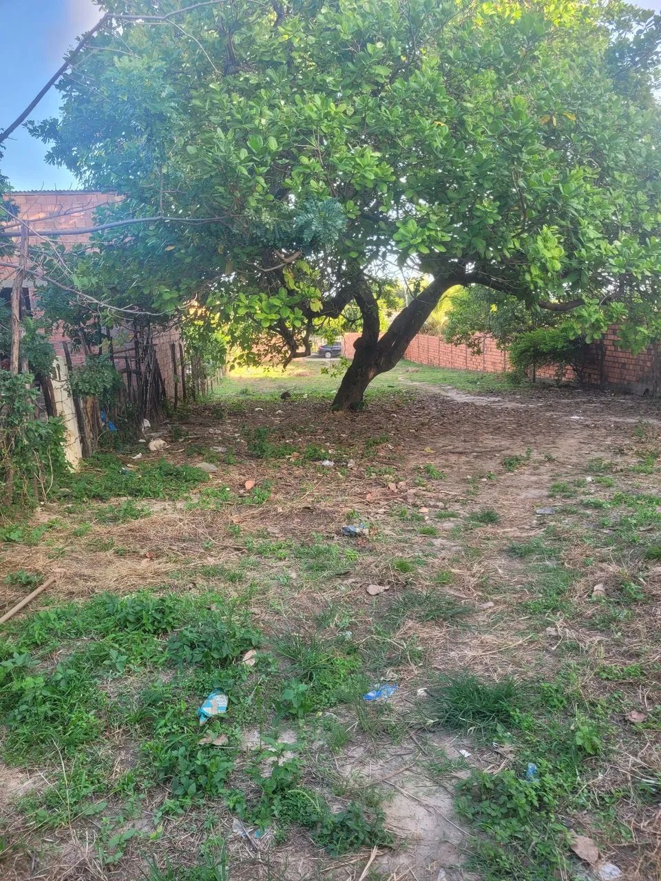Localização raposa (ma) - Foto 2