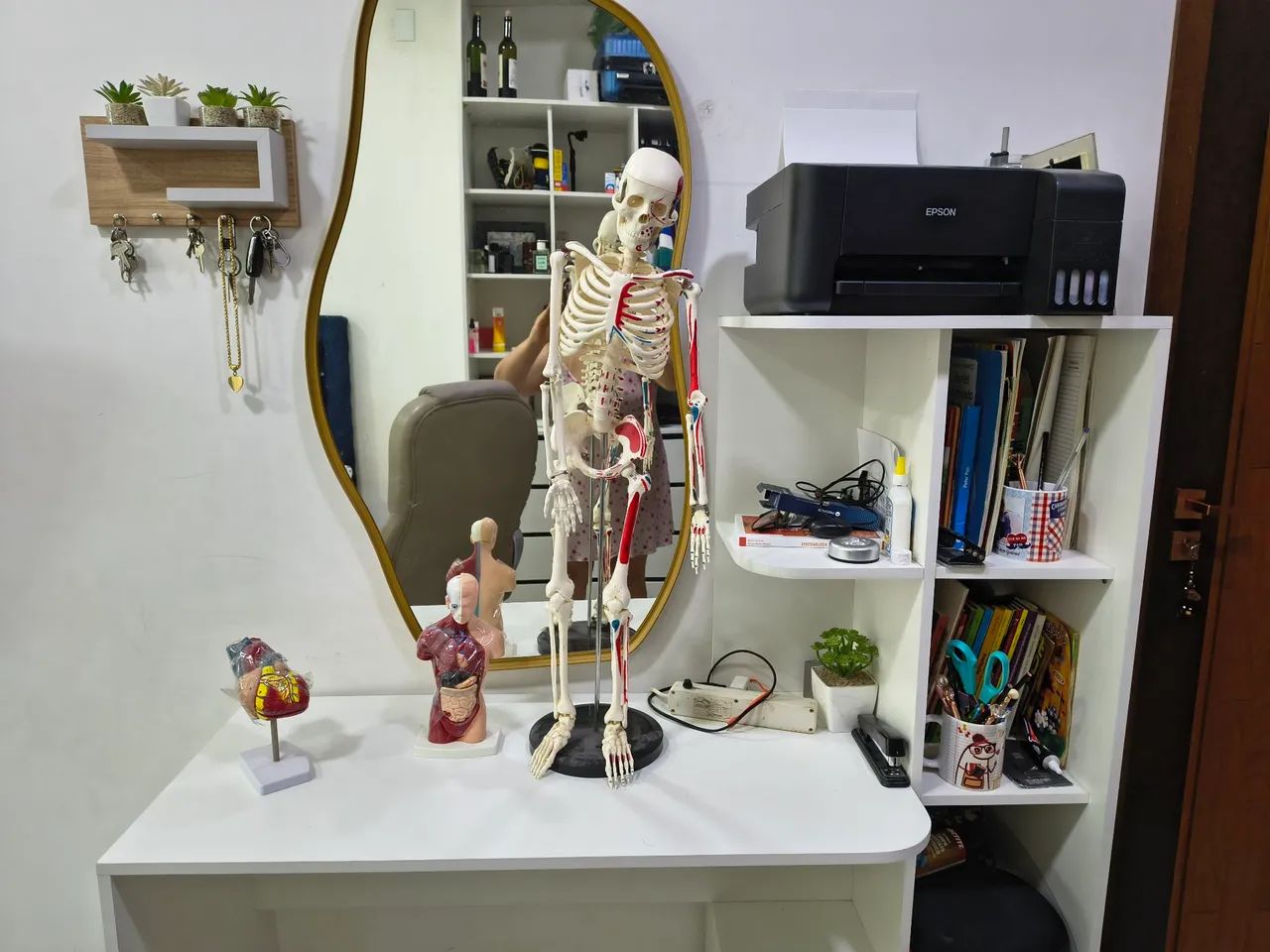 Vende-se todas essas peças anatômicas para estudos. - Foto 2