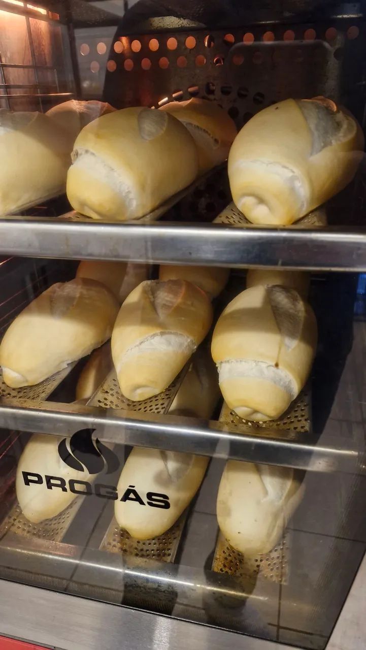 Forno progas PPR008 - Foto 4