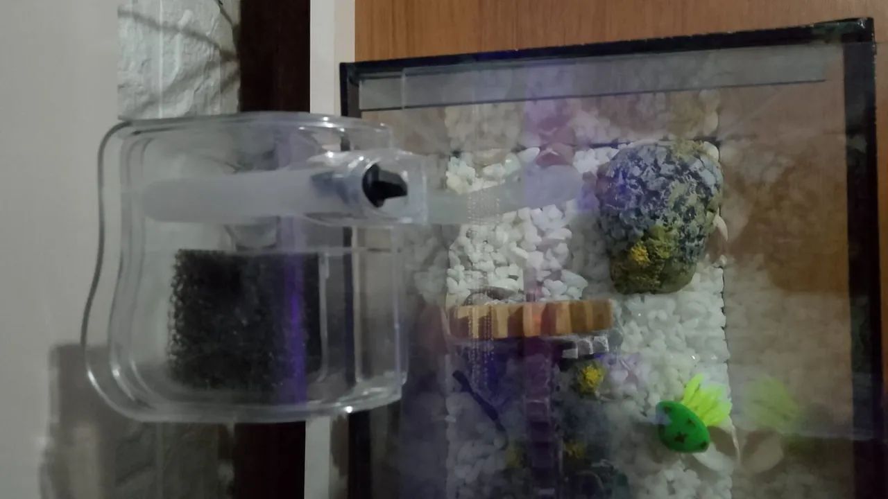 Aquário completo  - Foto 2