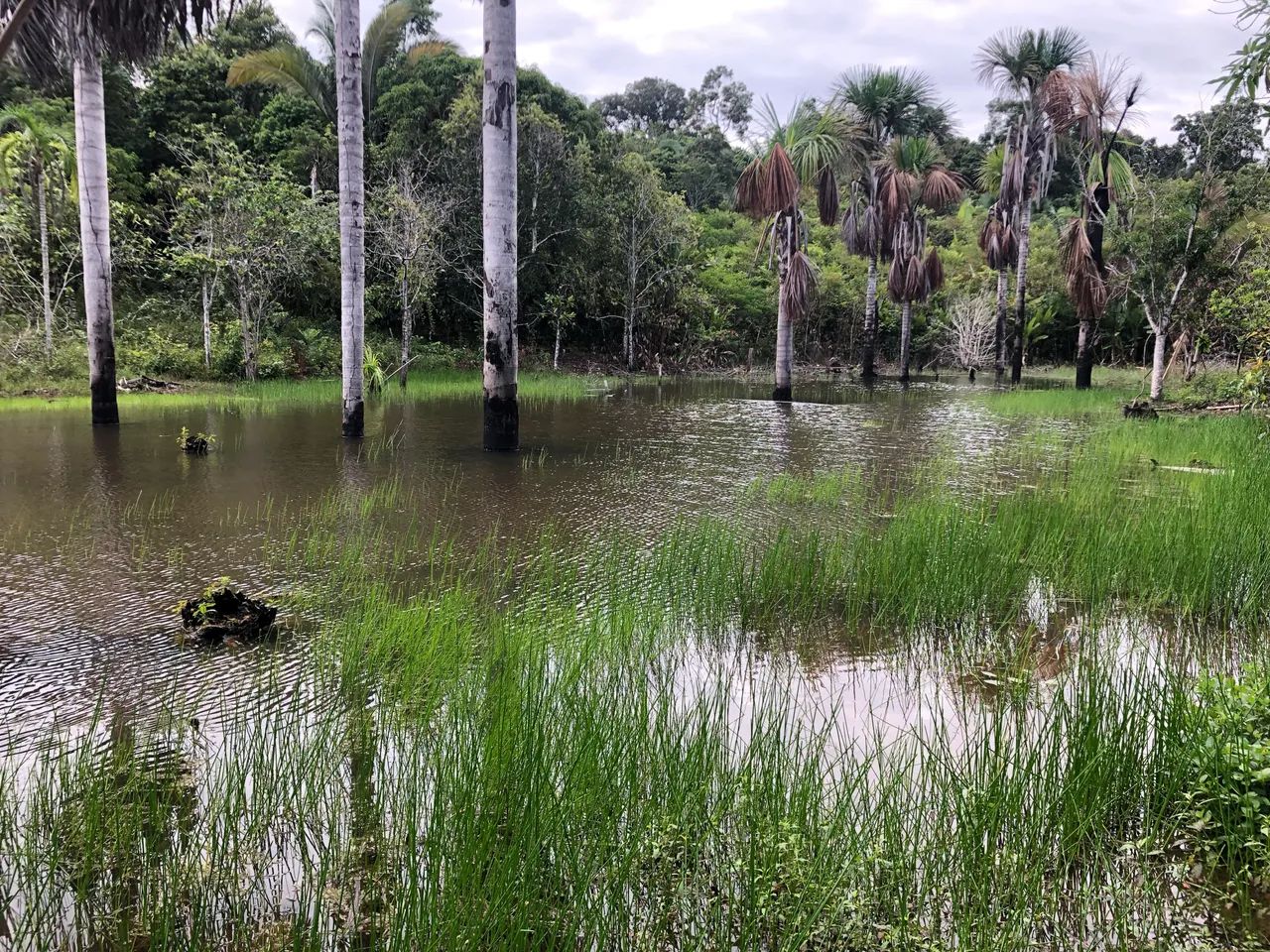 Sitio boa esperança  - Foto 4