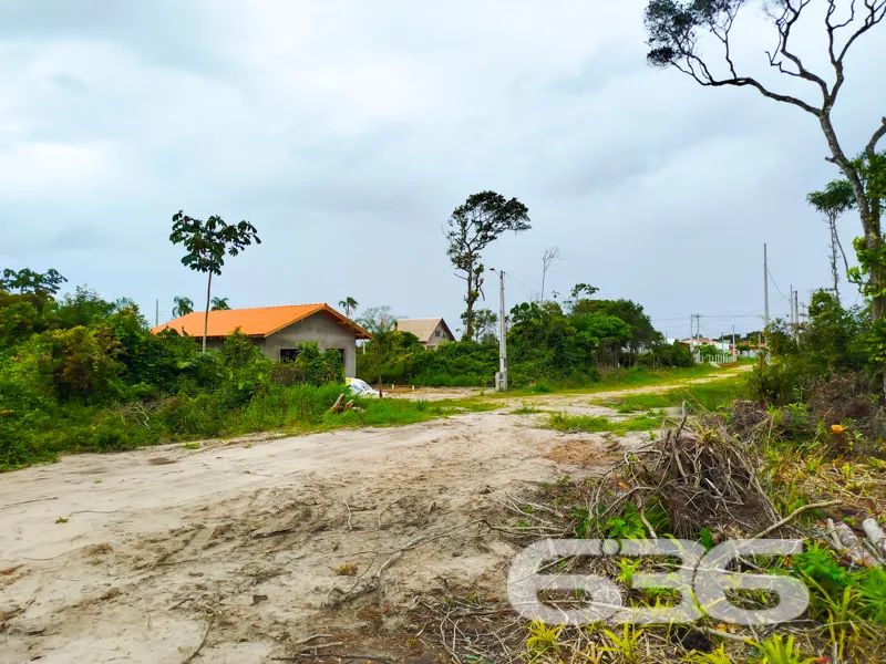Terreno | São Francisco do Sul | Ervino - Foto 5