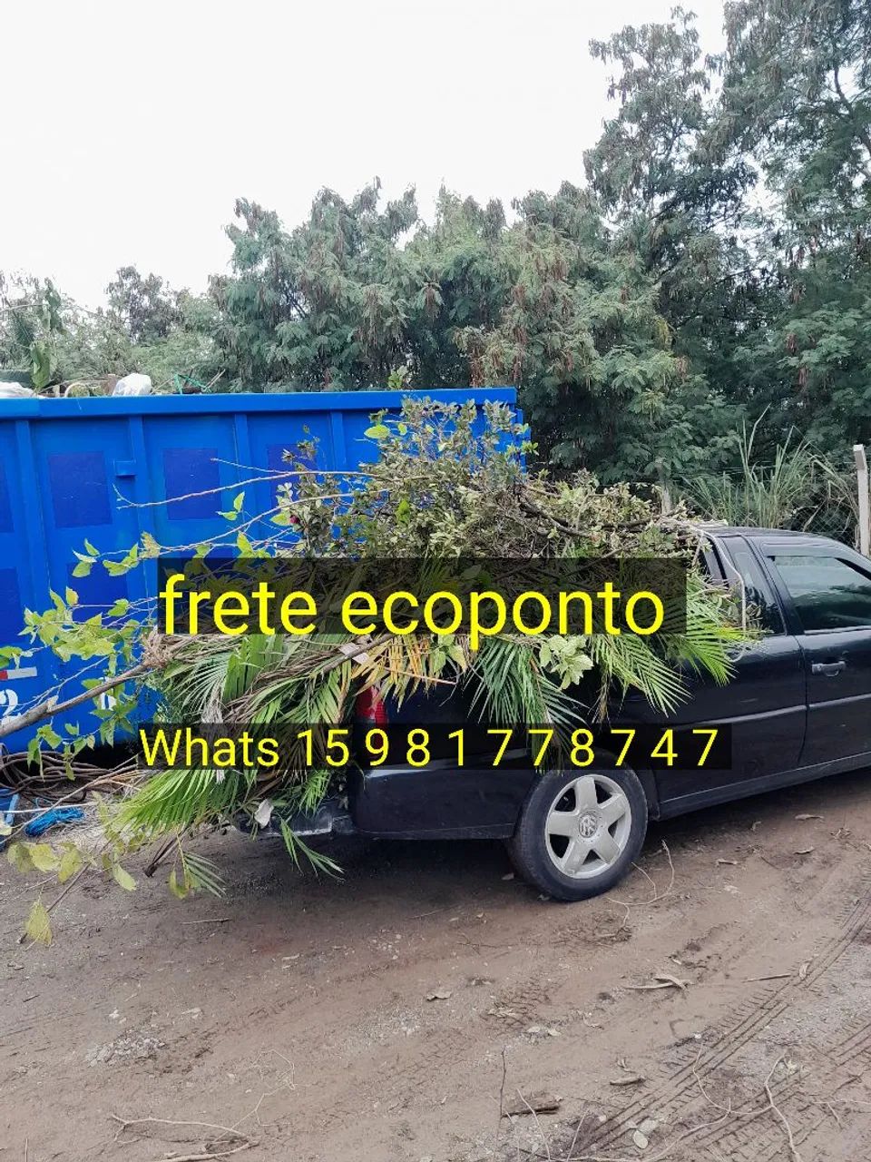 Retira-se galhos de poda de jardim  