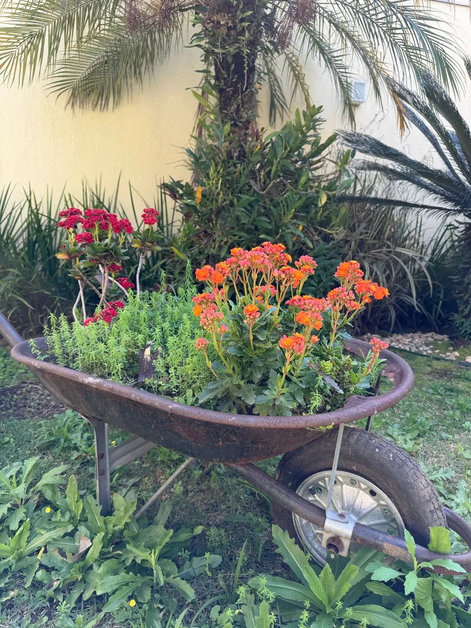 Terreno Vende-se 