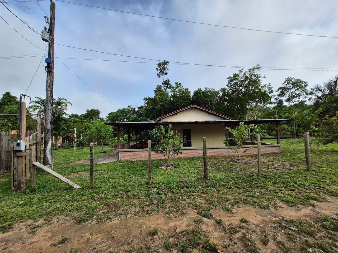 Foto - Manaus - Coroado