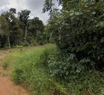 Terreno 600m2  - Foto 3