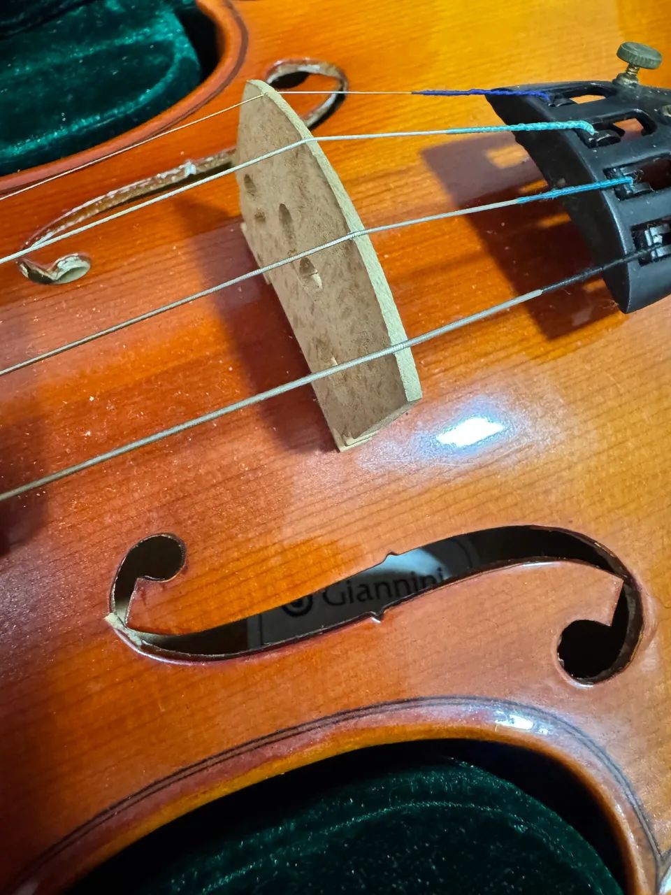 Violino Giannini 4/4 - Foto 2