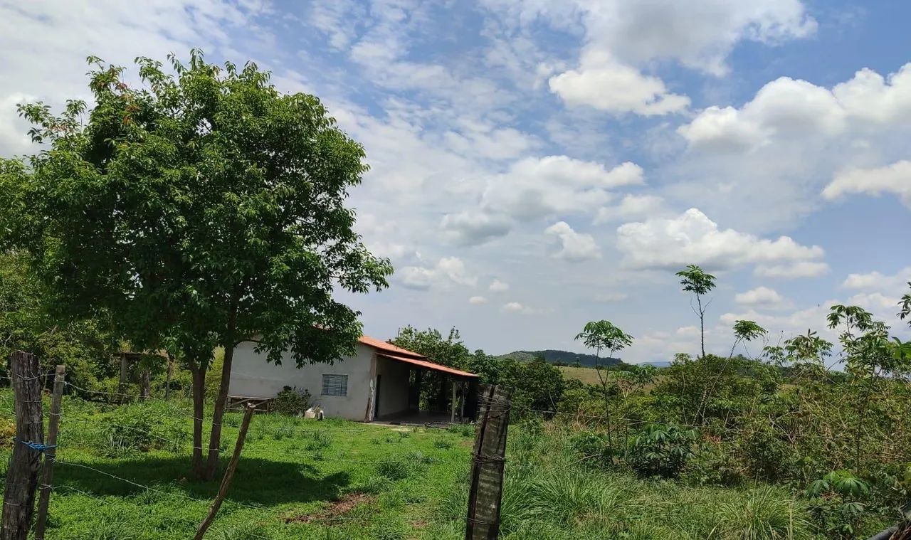 SÍTIO À VENDA EM FAINA - GO - Foto 4