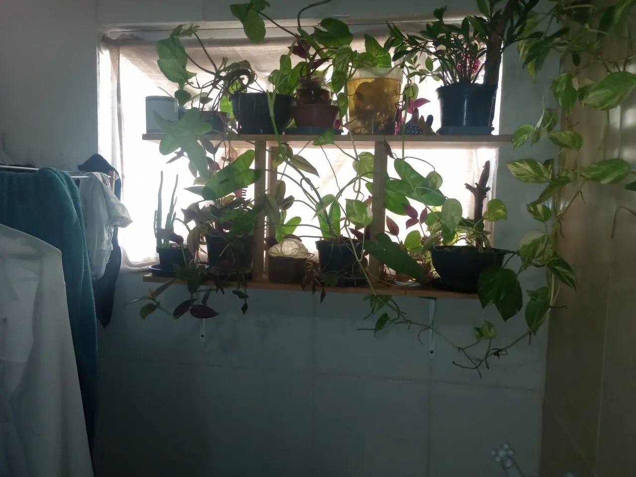 Lindo apartamento