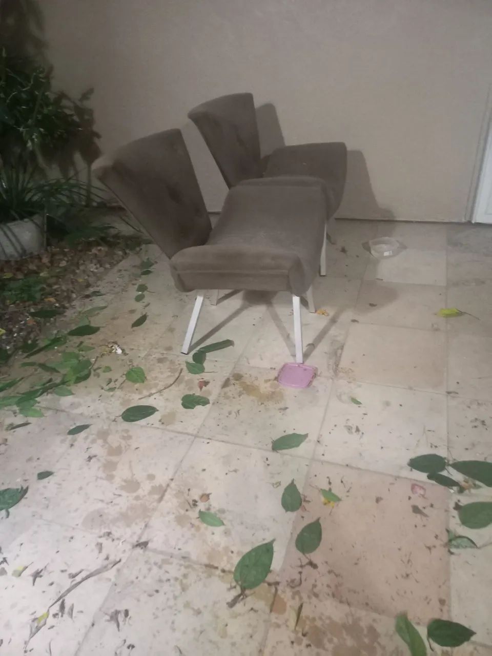Poltronas Semi-Novas - Foto 2