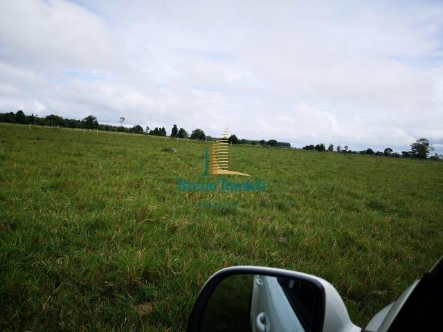 Fazenda á 3Km de Eunápolis - Foto 11