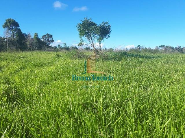 Fazenda á 15KM da balsa de Santo André - Foto 19