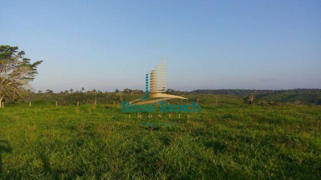 Fazenda á 80KM de Eunápolis - Foto 6