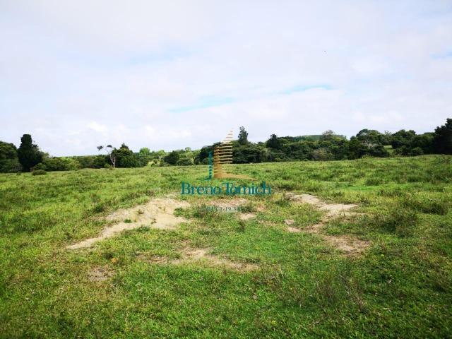 Fazenda á 3Km de Eunápolis - Foto 16
