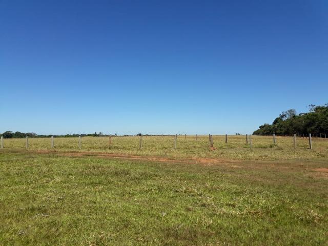Fazenda no município de Itaúba -MT 1.457 hectares com 457 aberto - Foto 5