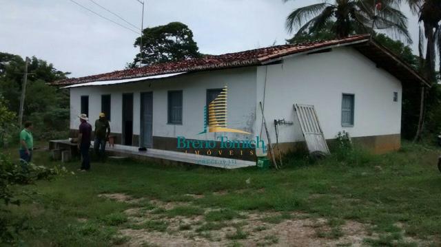 Fazenda em Santa Maria Eterna - Foto 10