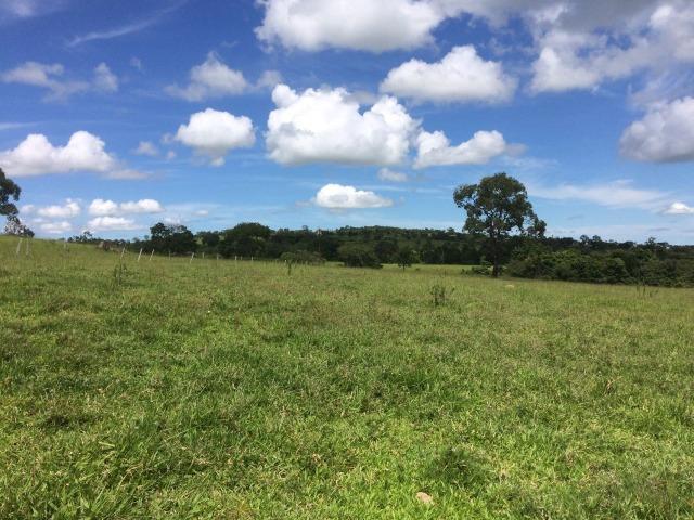 Fazenda 70 alqueires em Anicuns muito boa!!! - Foto 6