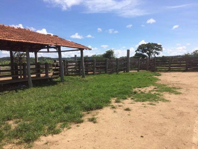 Fazenda 70 alqueires em Anicuns muito boa!!! - Foto 13