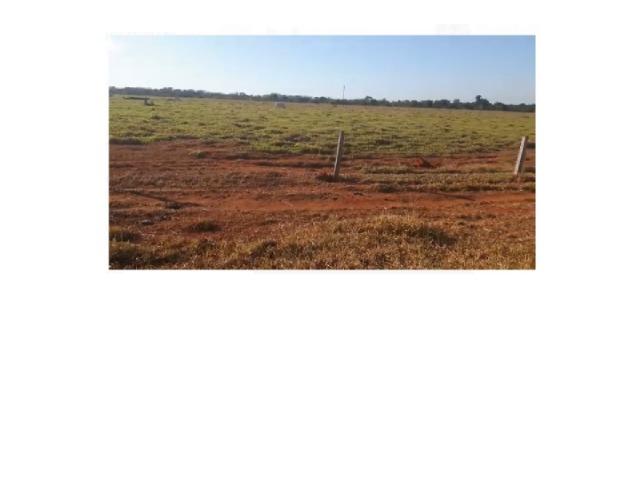 645 Hectares,40% argila,pecuária, Excelente para soja Próximo MT-220 - Foto 3