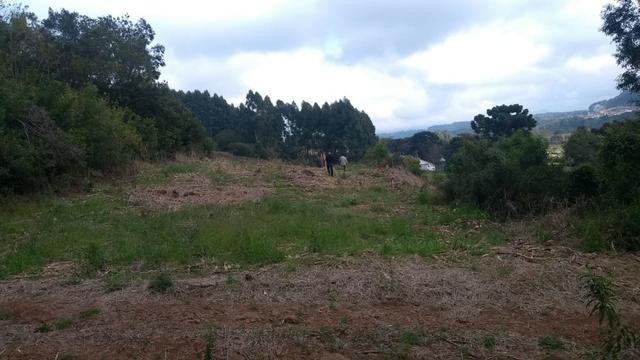 Sítio em Nova Petrópolis com 20,5 hectares - Foto 5