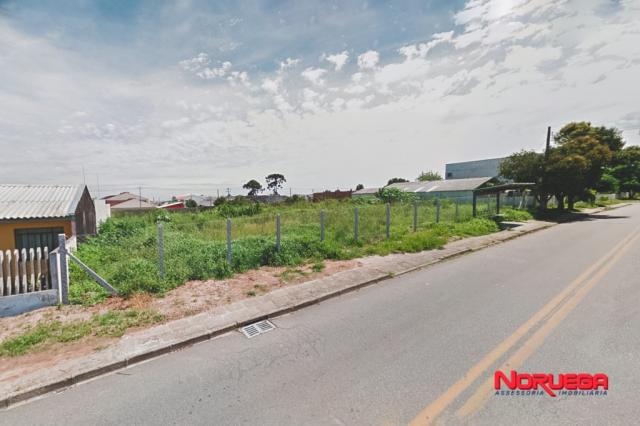 Terreno para alugar em Costeira, Sao jose dos pinhais cod:36066.001 - Foto 2