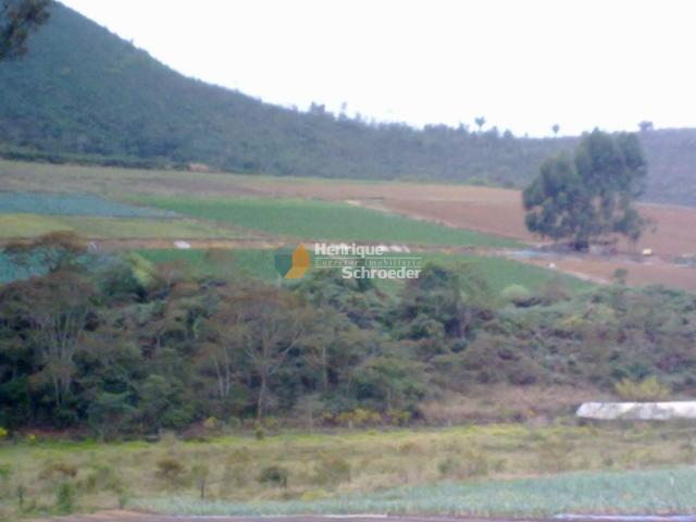 Fazenda produtiva, 116 ha, vale alpino, teresópolis, rj - Foto 8