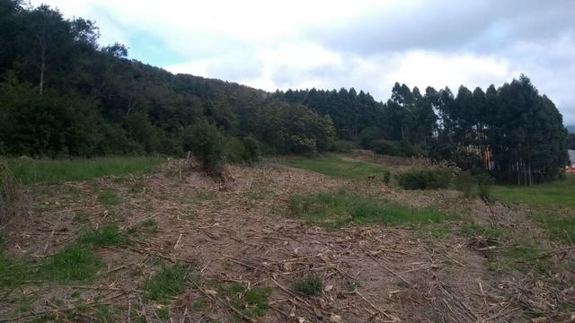 Sítio em Nova Petrópolis com 20,5 hectares - Foto 7