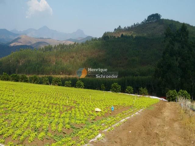Fazenda produtiva, 116 ha, vale alpino, teresópolis, rj - Foto 2