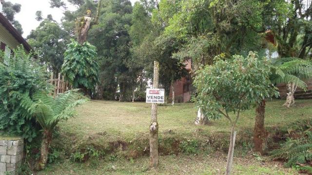 Terreno - Foto 2