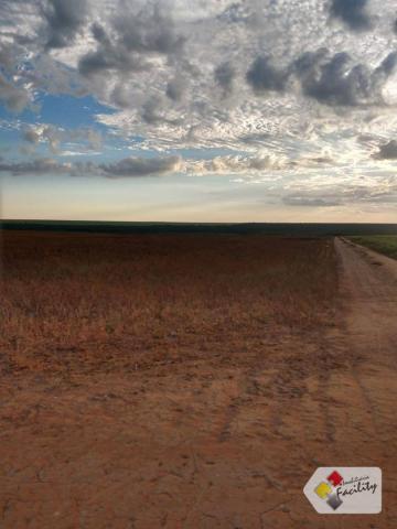 Fazenda de grãos em pontes e lacerda - mato grosso - Foto 7