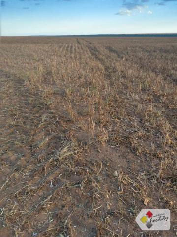 Fazenda de grãos em pontes e lacerda - mato grosso - Foto 9