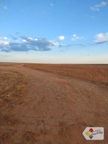 Fazenda de grãos em pontes e lacerda - mato grosso