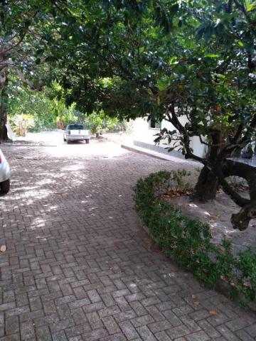 Chácara com 2 dormitórios à venda, 1564 m² por R$ 350.000 - Maioba do Mocajituba - Paço do - Foto 11