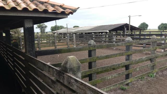 Venda-se está fazenda de 88 Alqueires no Estado do Rio de janeiro/ RJ