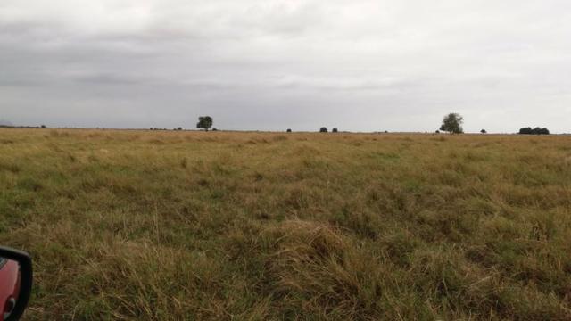 Venda-se está fazenda de 88 Alqueires no Estado do Rio de janeiro/ RJ - Foto 8