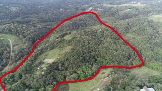 Terreno 5,5 alqueires, Butiatuvinha, Curitiba - PR - Foto 3