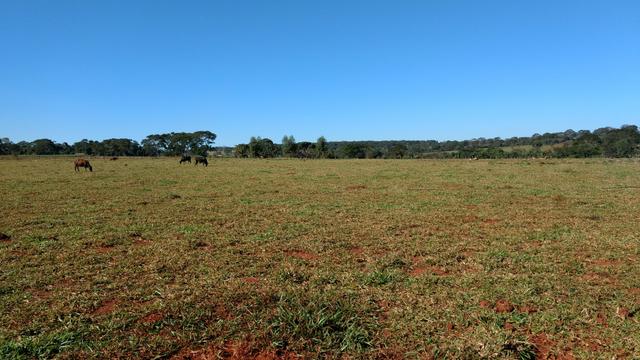 Chacara moradia lazer e valorização 4km de Caturaí - Foto 6