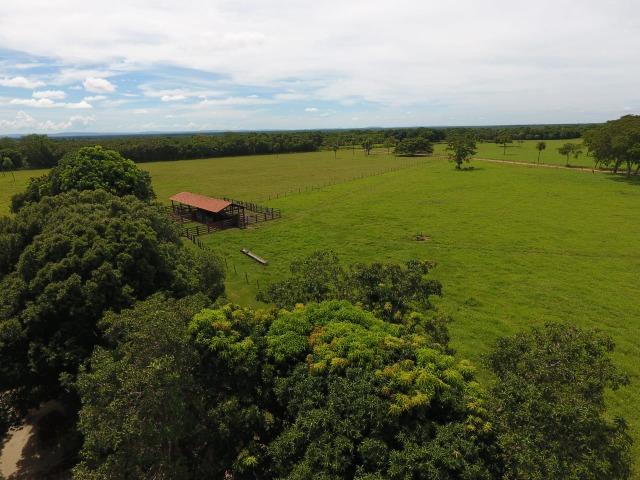 Chácara na região de Santo Antônio de Cuiabá com 32 HA Uma propriedade dos sonhos a 25 - Foto 14