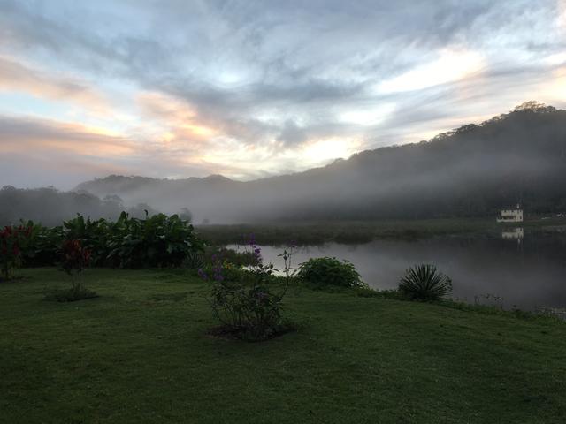 Fazenda de Cacau em Barro Preto BA - Foto 7