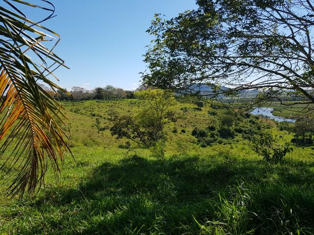 Vendo fazenda em Nova Almeida - Foto 12