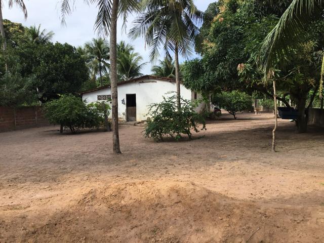 Sol 22 - Excelente Granja sendo 6385m² no Centro - São José de Mipibu - RN - Foto 10