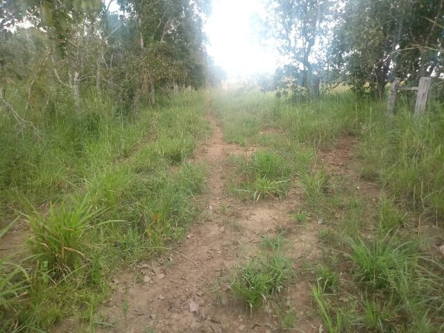 Fazenda no Mato Grosso em Rosário Oeste com 784 Hectares - Foto 8
