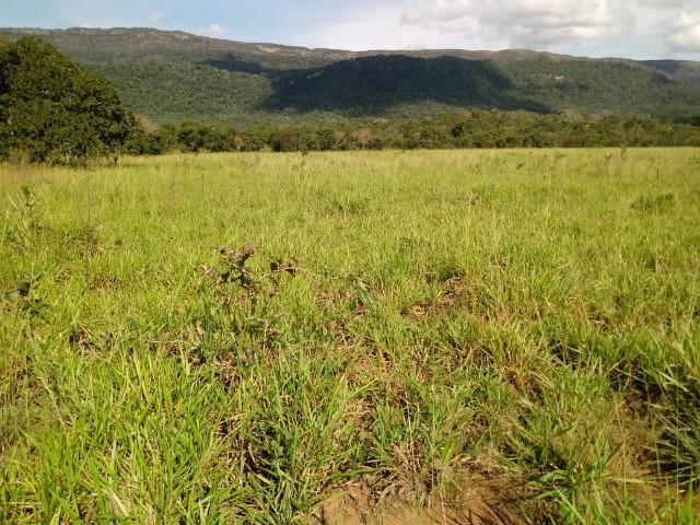 Fazenda no Mato Grosso em Rosário Oeste com 784 Hectares - Foto 17